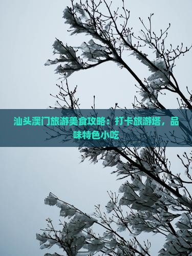 汕头澳门旅游美食攻略：打卡旅游塔，品味特色小吃