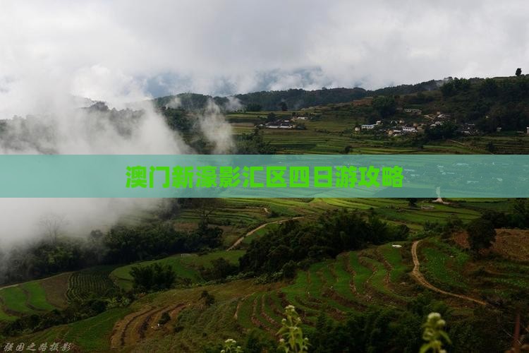 澳门新濠影汇区四日游攻略