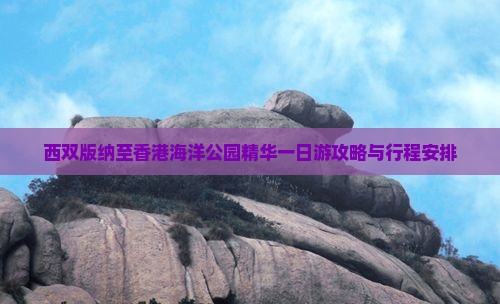 西双版纳至香港海洋公园精华一日游攻略与行程安排