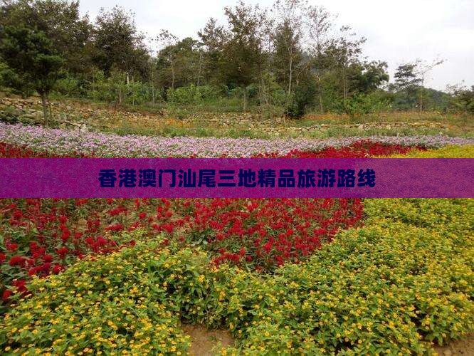 香港澳门汕尾三地精品旅游路线
