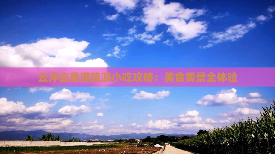 云浮去香港旅游小吃攻略：美食美景全体验