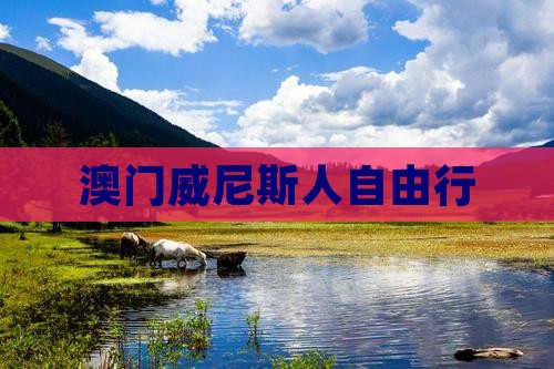 澳门威尼斯人自由行