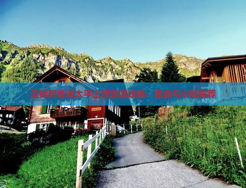 玉树到香港太平山顶旅游攻略：美食与小吃推荐