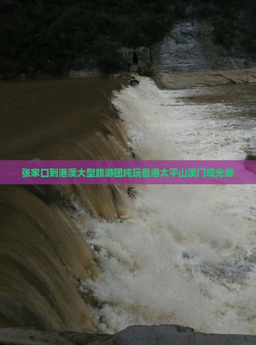 张家口到港澳大型旅游团纯玩香港太平山澳门观光游