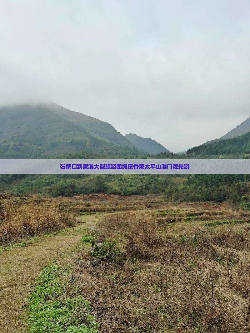 张家口到港澳大型旅游团纯玩香港太平山澳门观光游