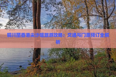铜川至香港尖沙咀旅游攻略：交通与门票预订全解析
