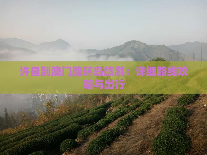许昌到澳门路环岛旅游：详细路线攻略与出行