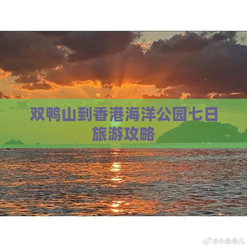 双鸭山到香港海洋公园七日旅游攻略