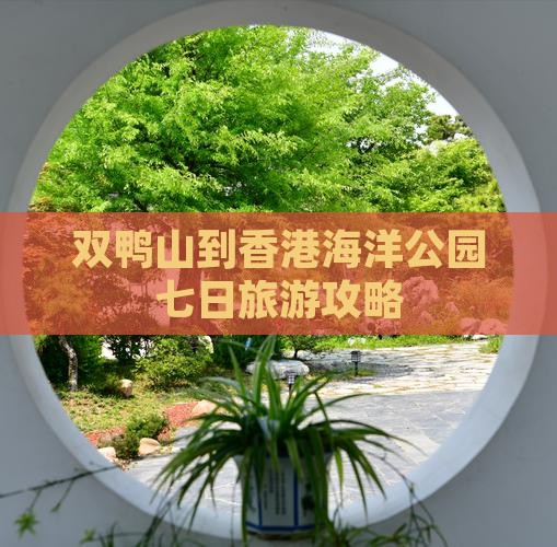 双鸭山到香港海洋公园七日旅游攻略