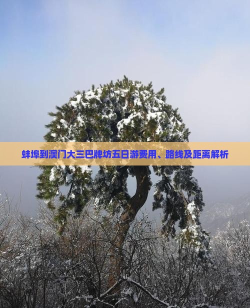 蚌埠到澳门大三巴牌坊五日游费用、路线及距离解析