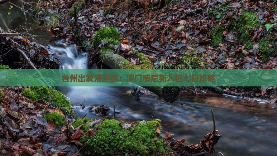 台州出发港澳游：澳门威尼斯人区七日攻略