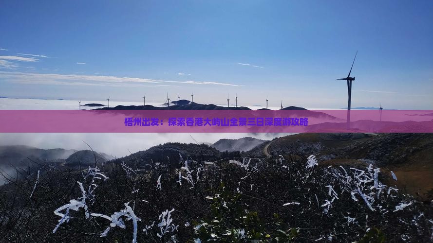 梧州出发：探索香港大屿山全景三日深度游攻略