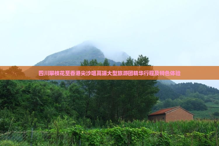 四川攀枝花至香港尖沙咀高端大型旅游团精华行程及特色体验