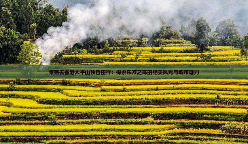莱芜去香港太平山顶自由行：探索东方之珠的绝美风光与城市魅力