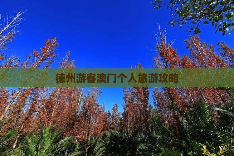 德州游客澳门个人旅游攻略