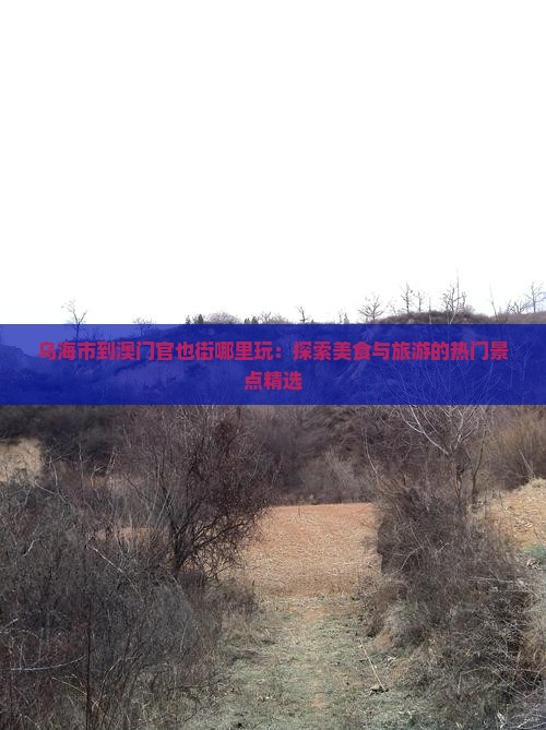 乌海市到澳门官也街哪里玩：探索美食与旅游的热门景点精选
