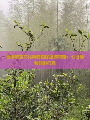 香港故宫文化博物馆深度游攻略：七日博物旅游行程