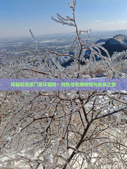 探秘和田澳门龙环葡韵：特色住宅博物馆与美食之旅