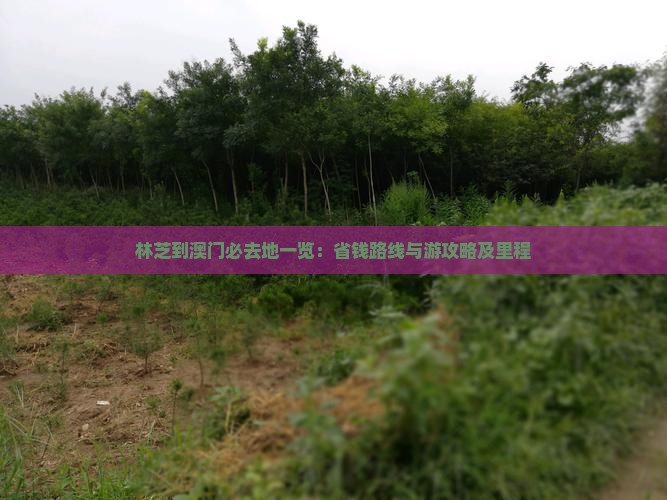 林芝到澳门必去地一览：省钱路线与游攻略及里程