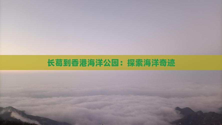 长葛到香港海洋公园：探索海洋奇迹