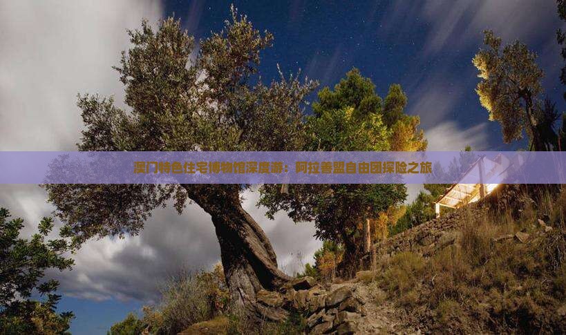 澳门特色住宅博物馆深度游：阿拉善盟自由团探险之旅