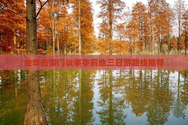 金华去澳门议事亭前地三日游路线推荐