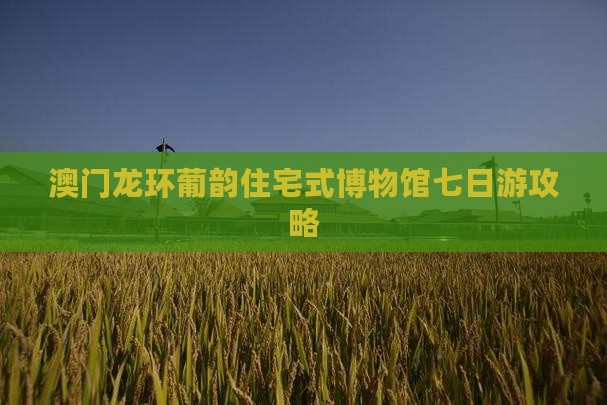 澳门龙环葡韵住宅式博物馆七日游攻略
