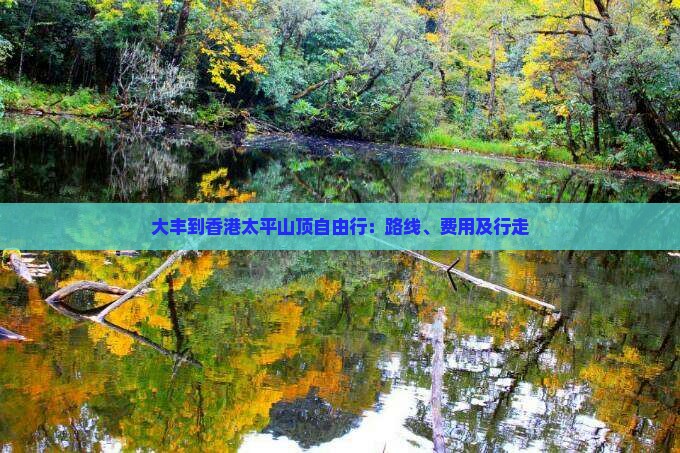 大丰到香港太平山顶自由行：路线、费用及行走