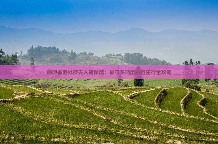 畅游香港杜莎夫人蜡像馆：鄂尔多斯出发自由行全攻略