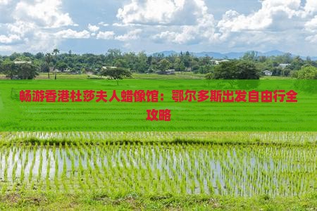 畅游香港杜莎夫人蜡像馆：鄂尔多斯出发自由行全攻略