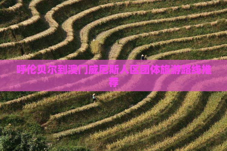 呼伦贝尔到澳门威尼斯人区团体旅游路线推荐