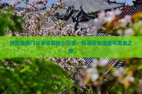 资阳去澳门议事亭前地七日游：探寻历史遗迹与美食之旅