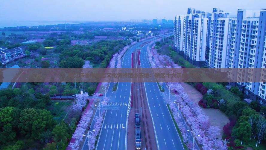 阳江去香港故宫文化博物馆必去地：精选十大景点一览