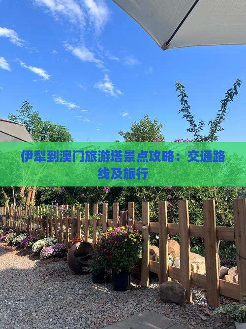 伊犁到澳门旅游塔景点攻略：交通路线及旅行