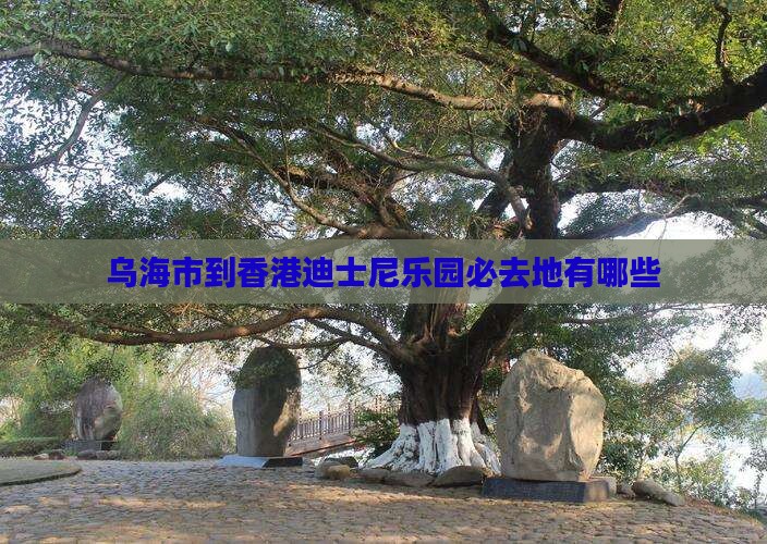 乌海市到香港迪士尼乐园必去地有哪些