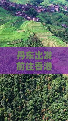丹东出发前往香港维多利亚港自由行旅游攻略