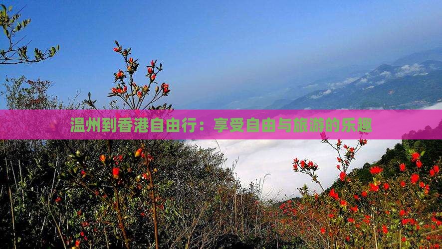温州到香港自由行：享受自由与旅游的乐趣