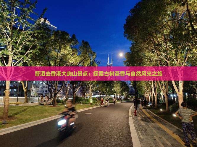 普洱去香港大屿山景点：探索古树茶香与自然风光之旅