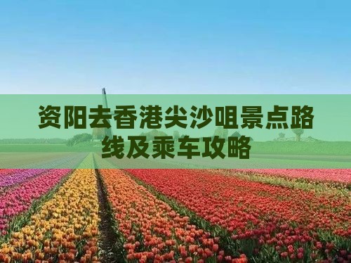资阳去香港尖沙咀景点路线及乘车攻略