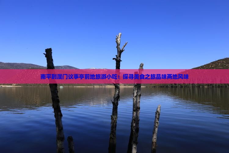 南平到澳门议事亭前地旅游小吃：探寻美食之旅品味两地风味