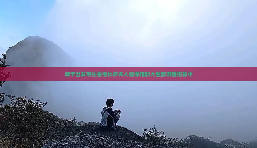 咸宁出发前往香港杜莎夫人蜡像馆的大型旅游团招募中