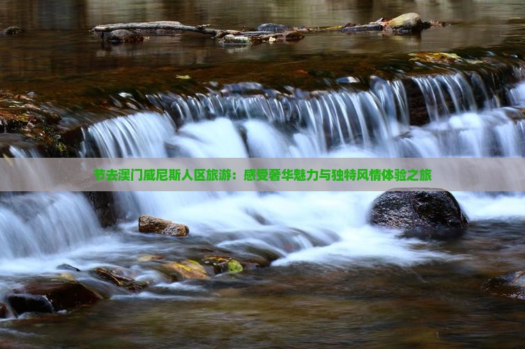 节去澳门威尼斯人区旅游：感受奢华魅力与独特风情体验之旅