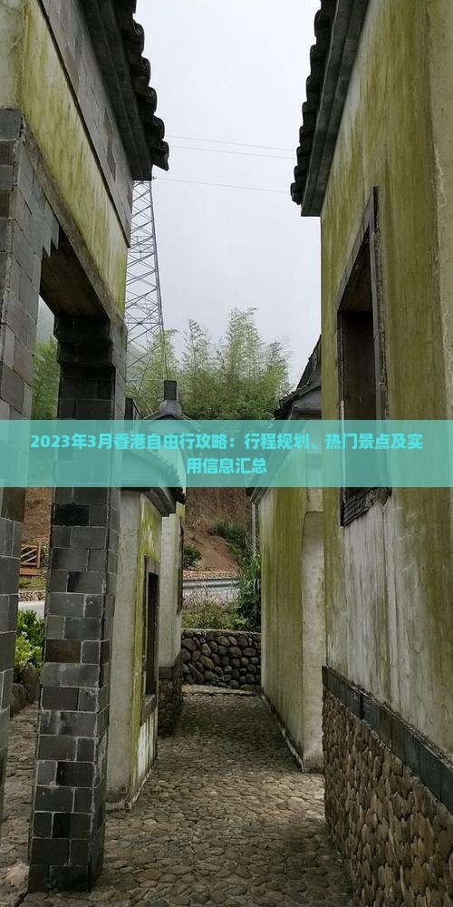 2023年3月香港自由行攻略：行程规划、热门景点及实用信息汇总