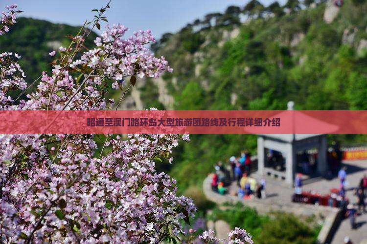 昭通至澳门路环岛大型旅游团路线及行程详细介绍