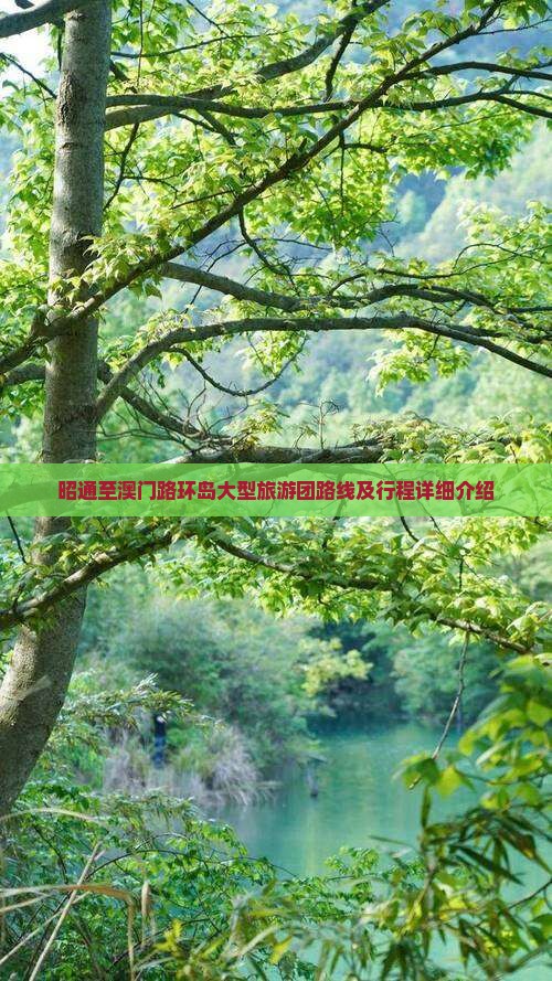 昭通至澳门路环岛大型旅游团路线及行程详细介绍
