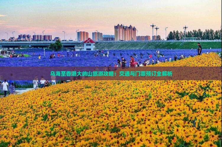 乌海至香港大屿山旅游攻略：交通与门票预订全解析