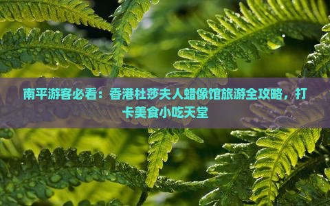 南平游客必看：香港杜莎夫人蜡像馆旅游全攻略，打卡美食小吃天堂