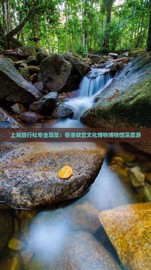 上海旅行社专业导览：香港故宫文化博物博物馆深度游