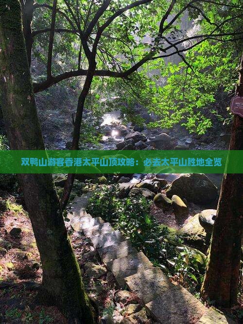 双鸭山游客香港太平山顶攻略：必去太平山胜地全览