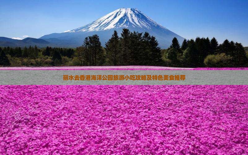 丽水去香港海洋公园旅游小吃攻略及特色美食推荐